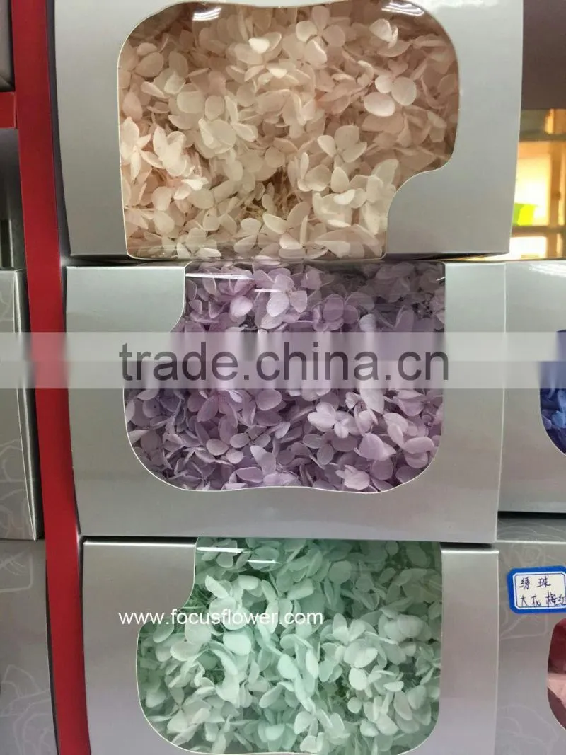 Top Quality Flower Export Preserved Flower Colorful Wholesale Artificial Hydrangea Flowers