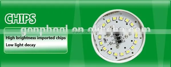 LED Gloeilampe 12w LED bulb