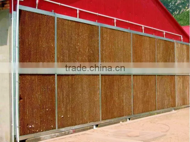 H Frame Pullet Raising System