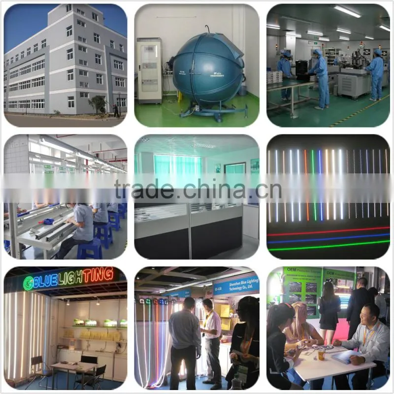DC24V Warm White Cool White and Red Color in one led strip light led food light
