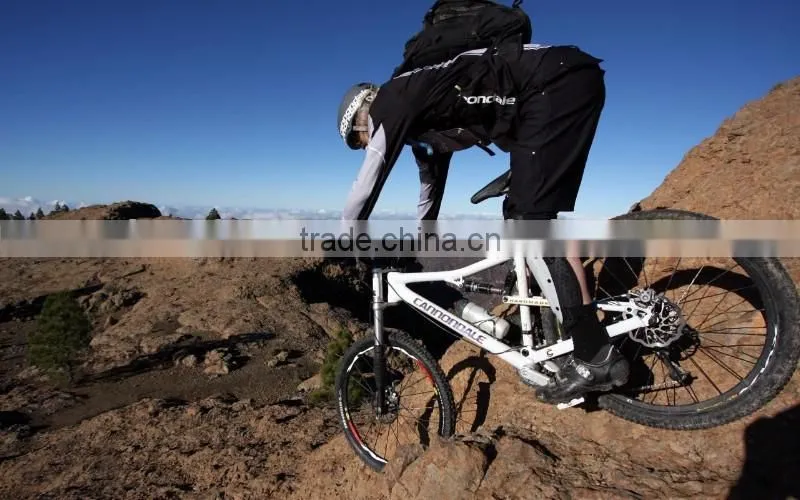 Cheap fat bike frames with free samples