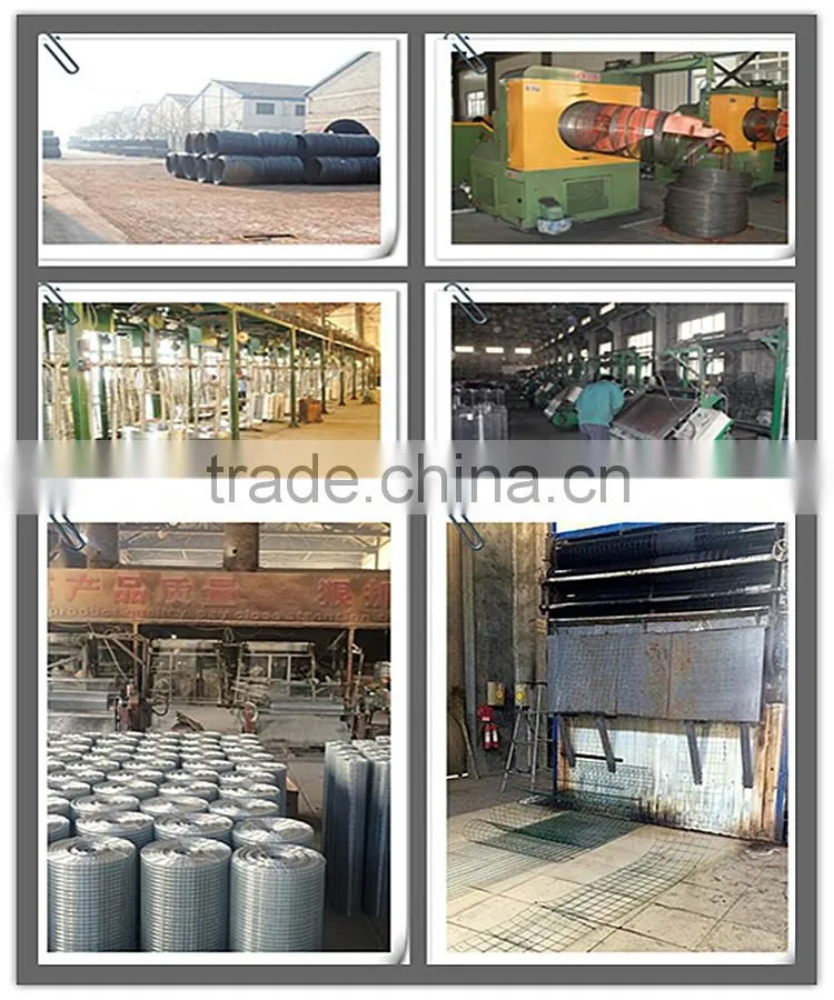 high quality welded wire mesh with ISO 9001 from top factory