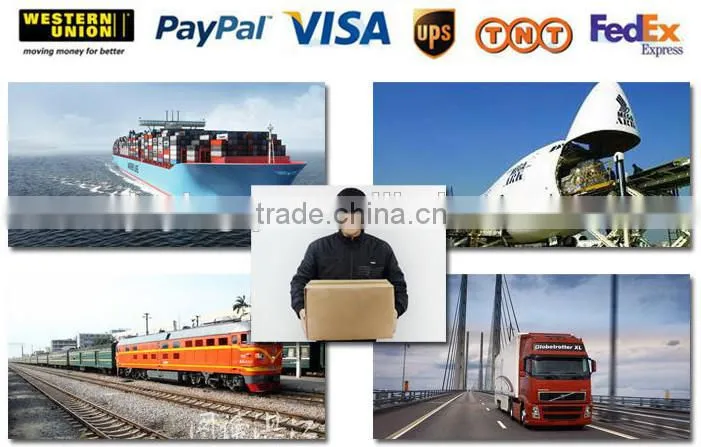 hot sale 500kg-1000kg Wire Rope Electric Motor Hoist/Electric Winch