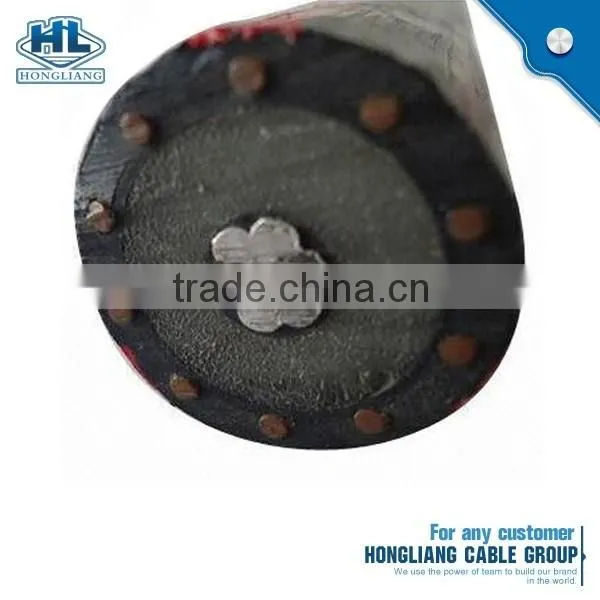Aluminium Concentric Cable 2*6AWG AI/XLPE/PVC cable