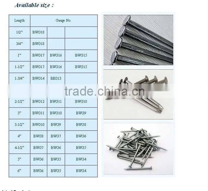 low price common round nail with flat head
