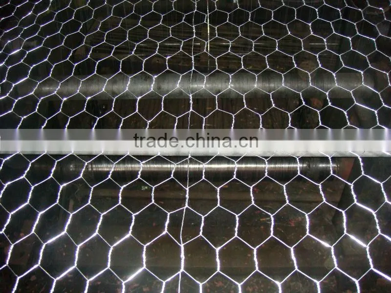 galvanized hexagonal wire mesh(factory)