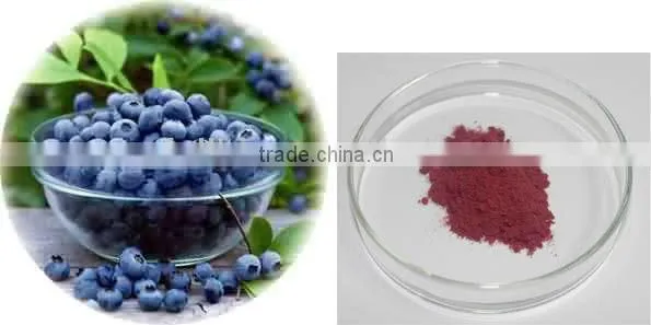 Blueberry Extract