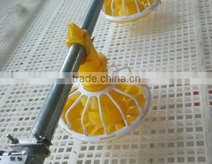 Transport Cages for Chicken