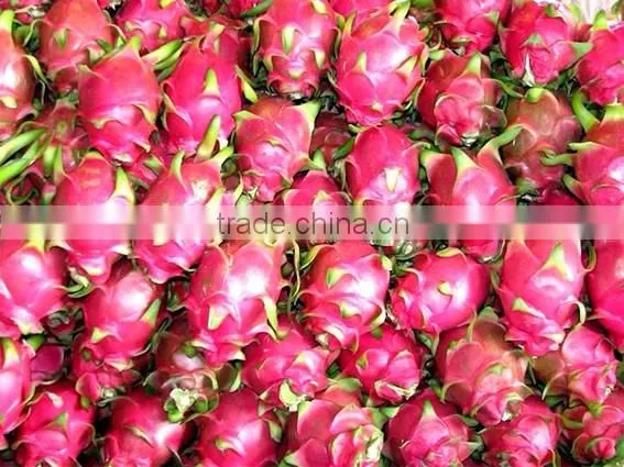 DRAGON FRUIT