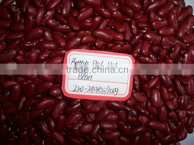 2015 new crop the british red kidney beans from China