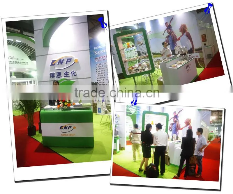 GMP Manufacturer Supply 100% Natural Goji Concentrate Juice