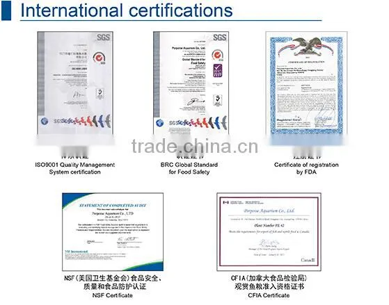 aquarium media filter activated carbon