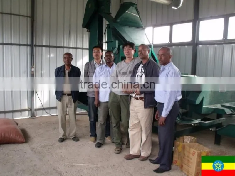 DCS-B Vertical bag packing machine