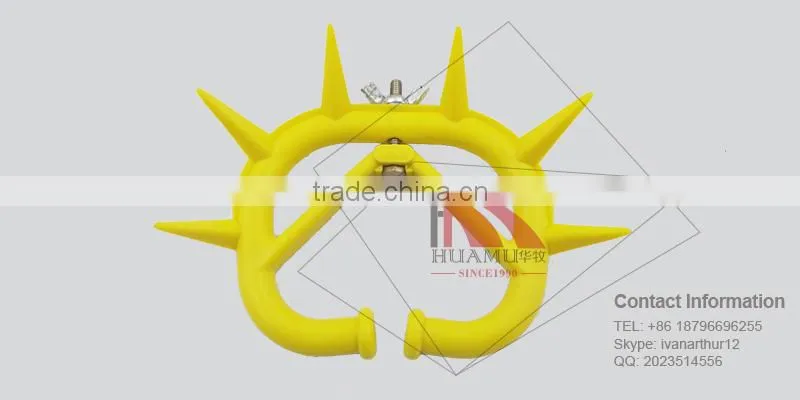 yellow calf weaner 120*85 mm