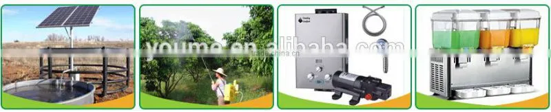 100psi micro12v agricultural sprayer pumps /agriculture battery sprayer pump