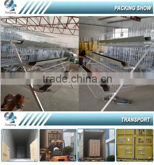 Hot galvanized chicken wire mesh cage for egg laying hens