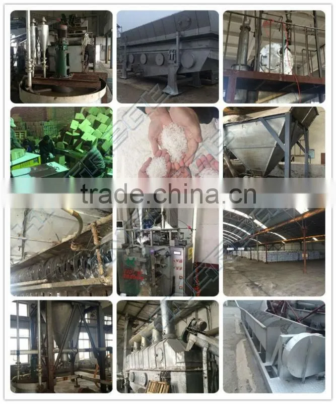 High Performance Stainless Steel Spiral Salt Washer