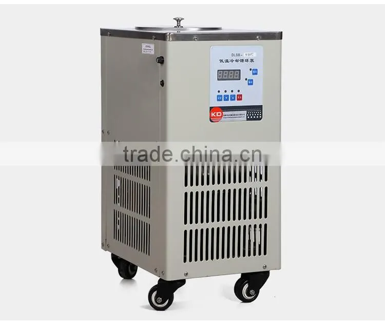 DLSB-30 Lab Low Temperature Cooling Liquid Circulating Pump
