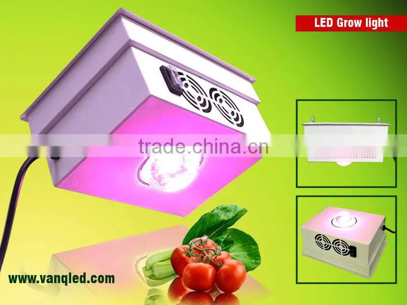 COB high umol 150W cob led grow light indoor farming