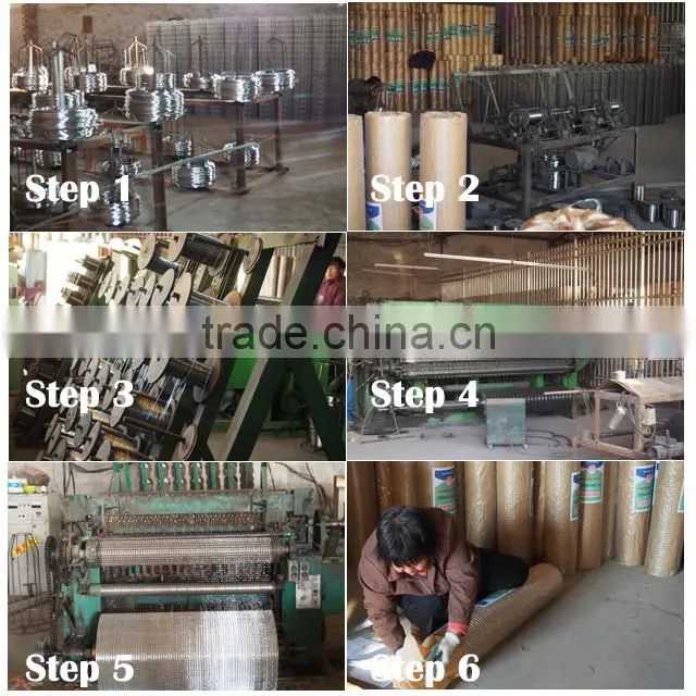 Welded Double Wire Mesh 6/5/6 25x200