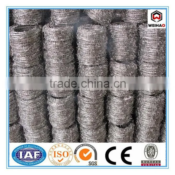 top selling products wall spike wire electric fence wire