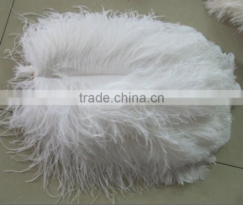 Snow White Ostrich Feather Wing Plume/Drab for Wedding Centerpiece Decoration