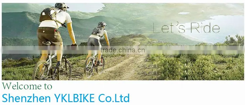 AEST CNC Bicycle guide pulley with ceramic bearing