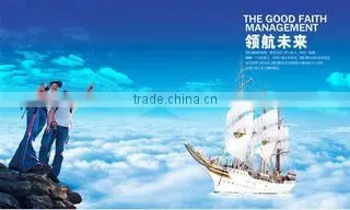 Shanghai Datadigitdrive Electronic Co., Ltd. company overview - view 1