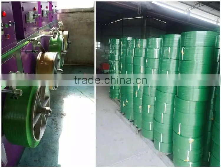High quality polyester pet strap manufacturer