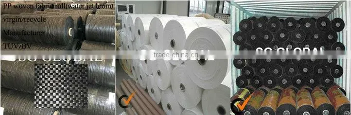 2013 NEW pe tarpaulin sheet