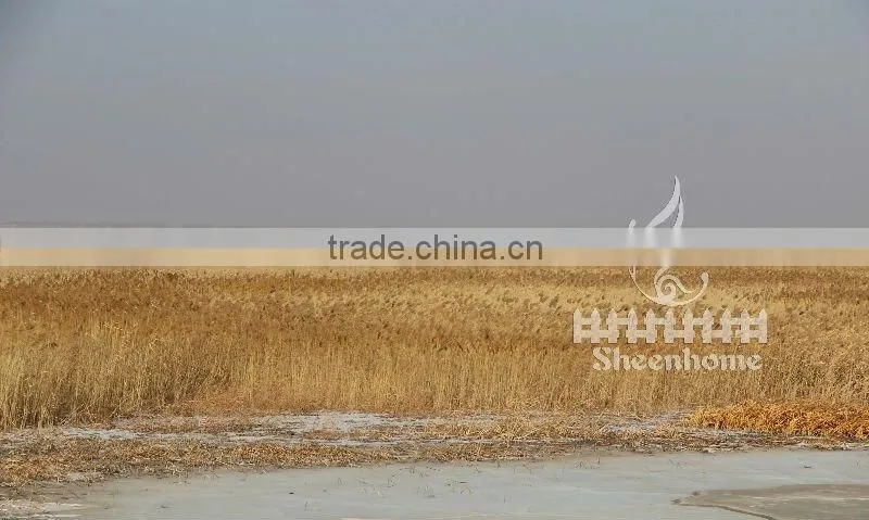 natural woven reed mat