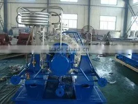 Professional produce API610 BB5 pump