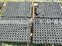 Coconut shell charcoal briquette machine for BBQ