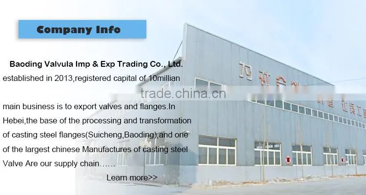 High Quality BS Standard PN25 Carbon Steel pipe fittings flange