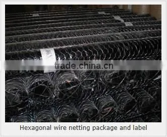 Hexagonal woven twist wire mesh - galvanized and PVC coated chicken mesh price
