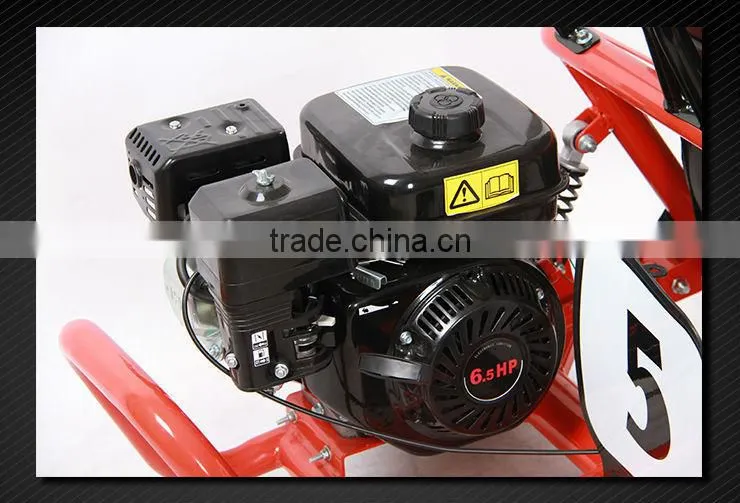 196cc 4 stroke 6.5HP 6inch adult pedal car Hydraulic disc brake centrifugal dry E-MARK approval