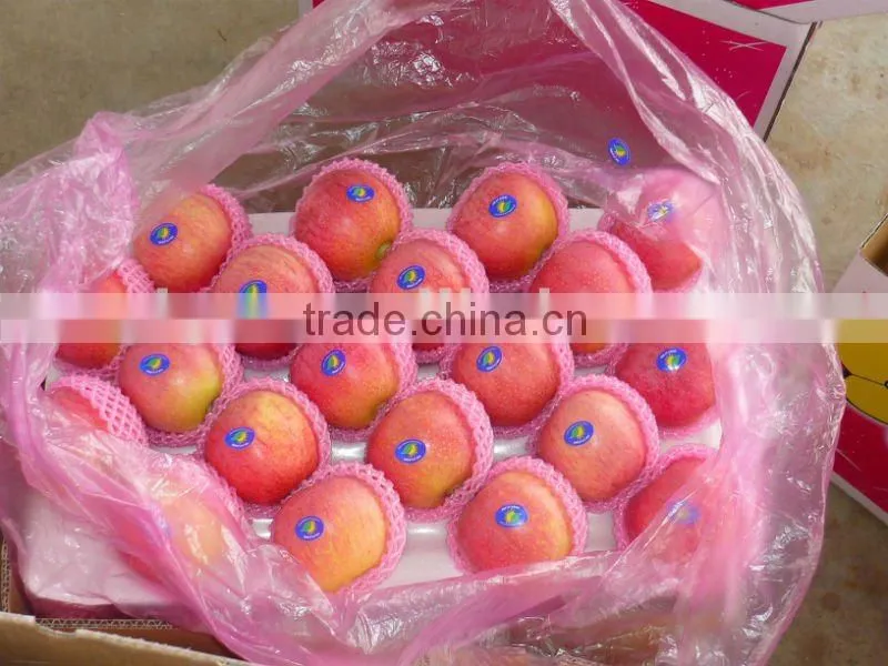 qinguan apple