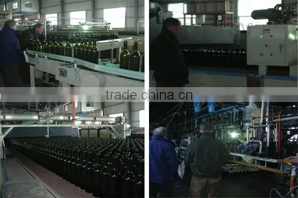 clear Heat-resistant sale of cheap glass bottles with stainless steel cap
