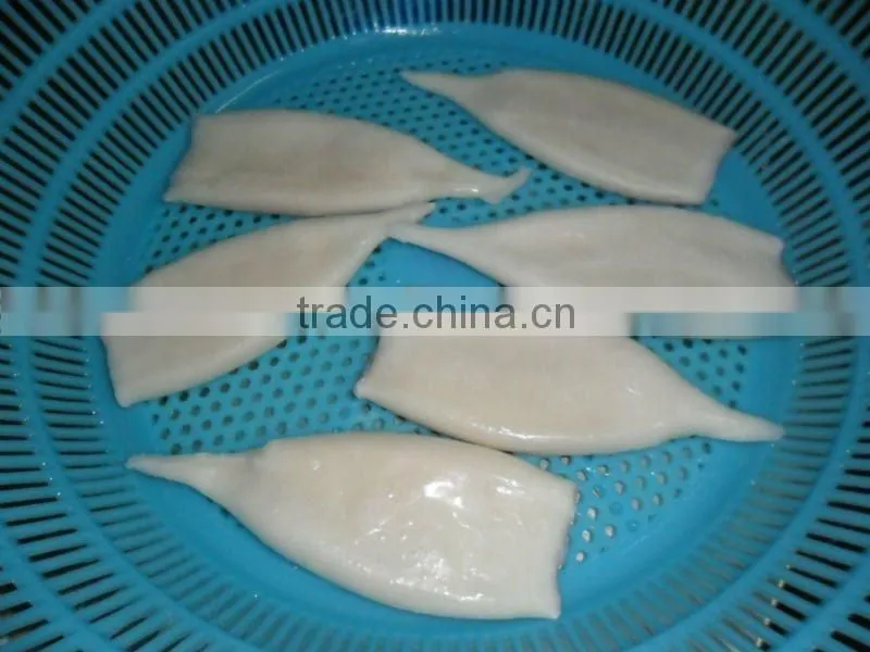 Frozen Seafood Todarodes Pacificus Squid Tube( IQF )