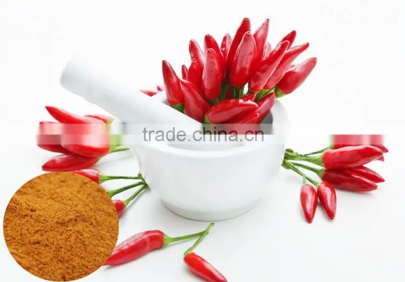 Natural Plant Extract Food and Beverage Additive Chillies pepper Extract Powder