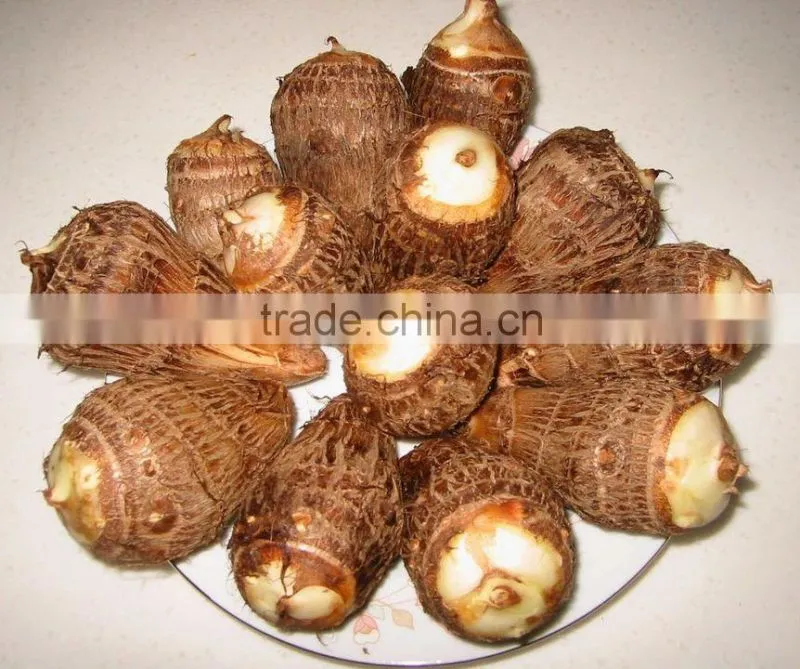 2015 supplier of good taste and natural taro in china