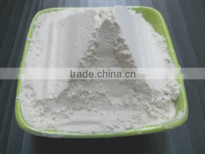 Dehydrated Onion Powder