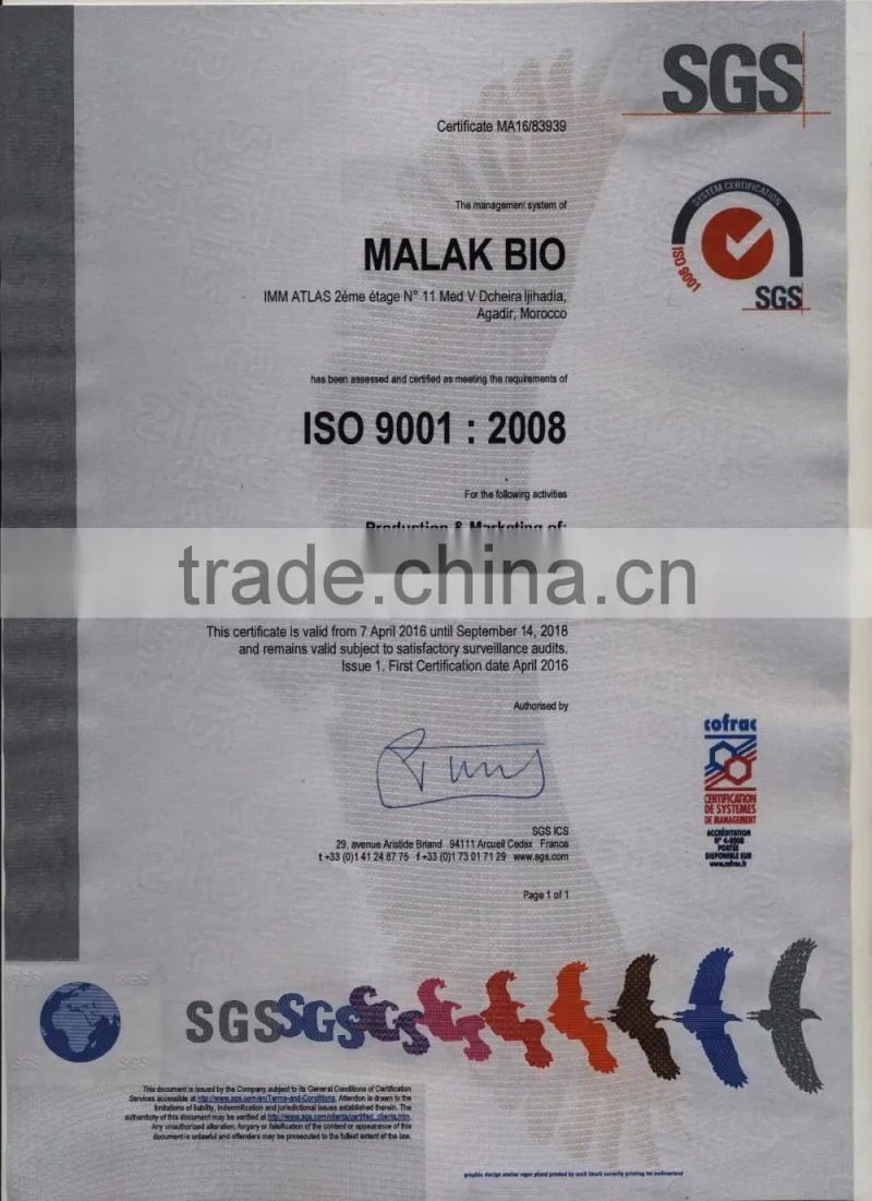 Organic Morocco Argan oil 100% pure certified Ecocert /USDA / ISO 9001 OEM acceptable