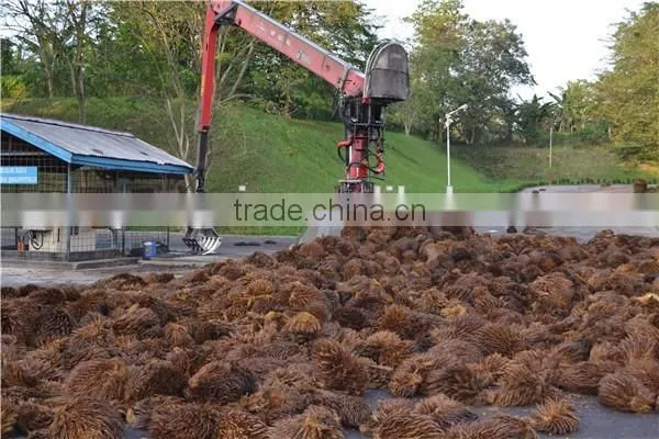 10TPH price palm oil mill plant from China