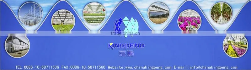 Commercial Single Layer Glass Greenhouse