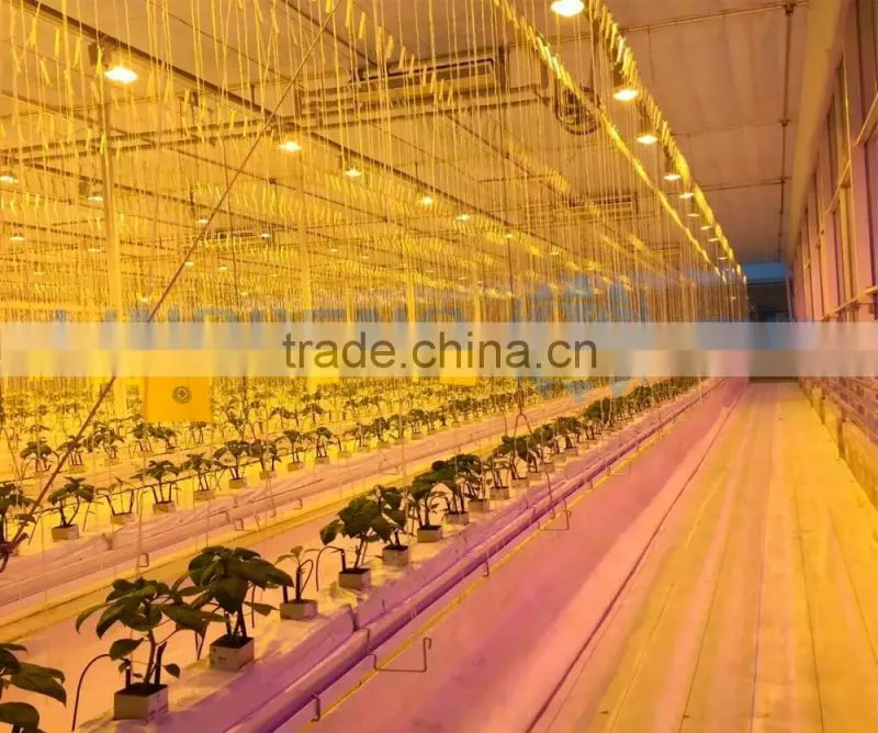 Agricultural Greenhouse Light