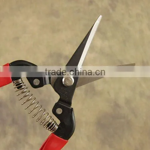 grape scissors
