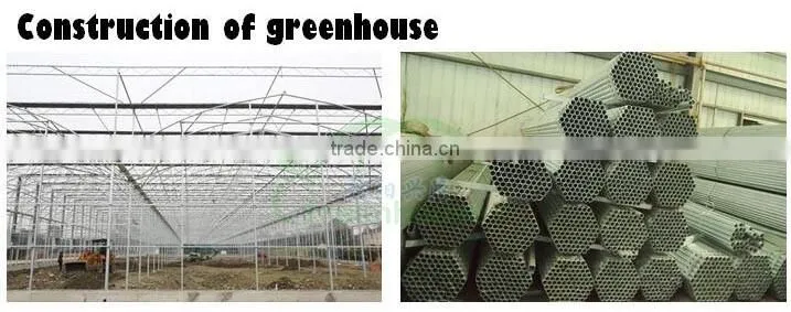 long life span Greenhouse polycarbonate sheet price