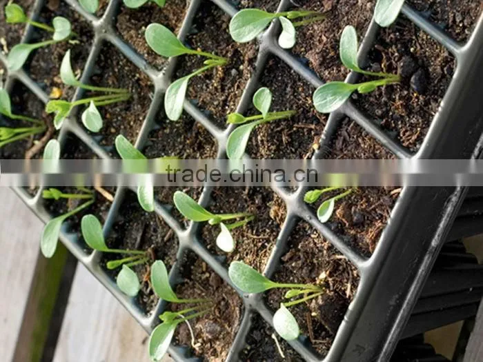 China supplier plant growing Tray Seed Germination Tray for greenhouse with good price