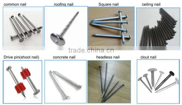Galvanized cemenet nail,concrete steel nail from Guangzhou supplier